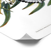 Prothonotary Warbler John James Audubon Birds Poster (Hoek)