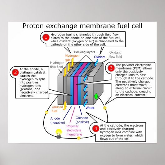 Proton Exchange Membrane Fuel Cell Diagram Poster (Voorkant)