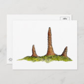 Prototaxites Fungi Carte postale (Devant / Derrière)