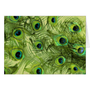 Proud as a Peacock Set 1115