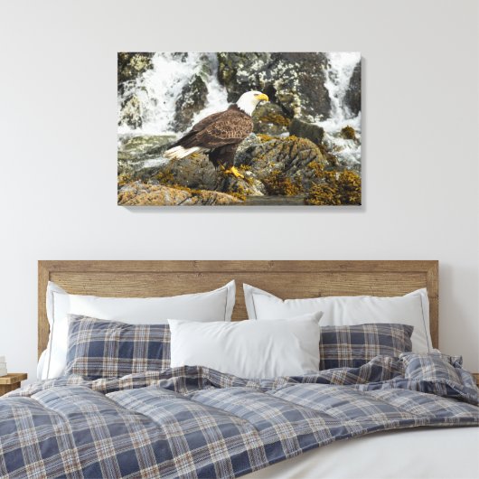 Proud Bald Eagle Canvas Afdruk (Insitu (Slaapkamer))