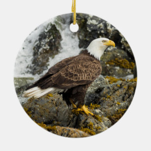 Proud Bald Eagle Keramisch Ornament