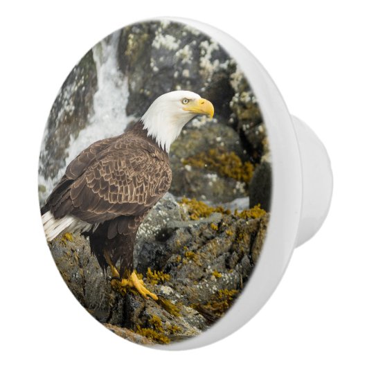 Proud Bald Eagle Keramische Knop (Rechts)