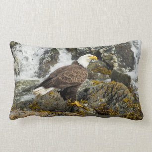 Proud Bald Eagle Kussen