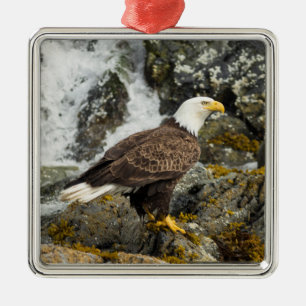 Proud Bald Eagle Metalen Ornament