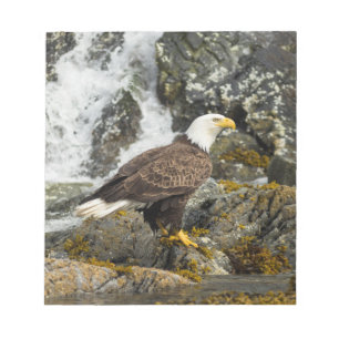 Proud Bald Eagle Notitieblok
