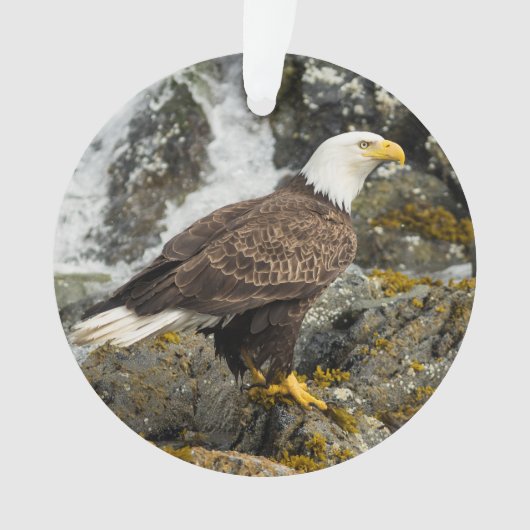 Proud Bald Eagle Ornament (voorkant)