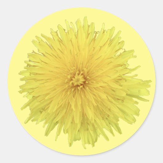 Proud Dandelion Flower - transparant. Ronde Sticker (Voorkant)