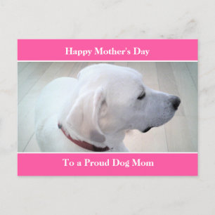 Proud Dog mam Cute White Labrador Mix Dog Profiel Feestdagenkaart