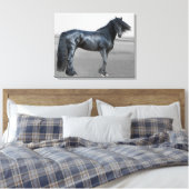 Proud Friesian zwarte hengst Canvas Afdruk (Insitu (Slaapkamer))