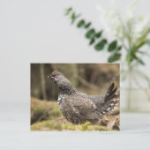 Proud Grouse Briefkaart (Staand voorkant)