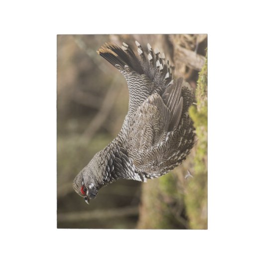 Proud Grouse Notitieblok (Gedraaid)