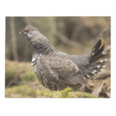 Proud Grouse Notitieblok (Voorkant)