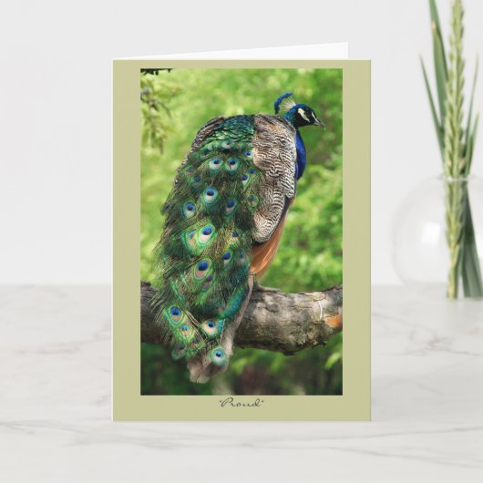 Proud Kaart (Voorkant)