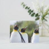 Proud King pinguins foto Briefkaart (Staand voorkant)