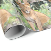 Proud Lioness Cadeaupapier (Rol Hoek)