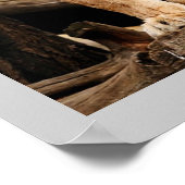 Proud Lioness Poster (Hoek)