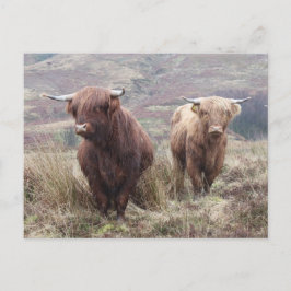 Proud om Schots te zijn! Briefkaart