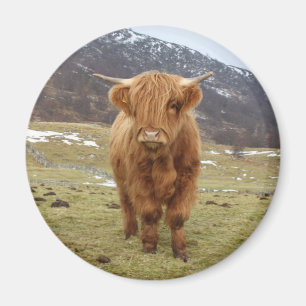 Proud om Schots te zijn! Magneet