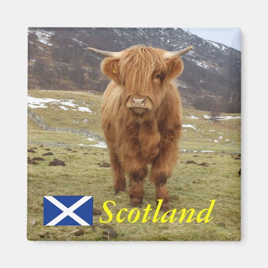 Proud om Schots te zijn! Magneet (Voorkant)