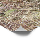 Proud om Schots te zijn! Poster (Hoek)