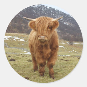 Proud om Schots te zijn! Ronde Sticker