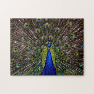 Proud Peacock-fotopuzzel Legpuzzel