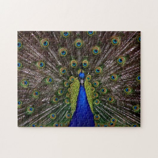 Proud Peacock-fotopuzzel Legpuzzel (Horizontaal)