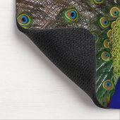 Proud Peacock mousepad Muismat (Hoek)