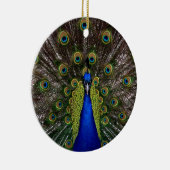 Proud Peacock ornament (Rechts)