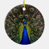 Proud Peacock ornament (Achterkant)