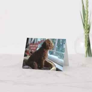 Proud Poodle - Missing You - Kaart