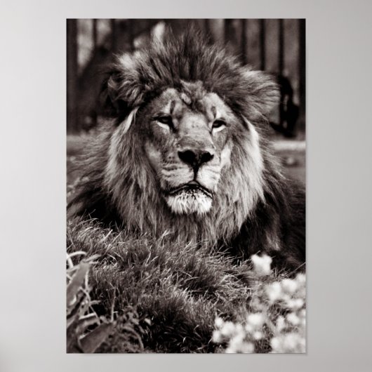 Proud Poster (Voorkant)