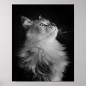 Proud Poster (Voorkant)