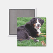 Proud Serena Magneet (Voorkant / Achterkant)