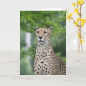 ProudCheetah Kaart (Gele Bloem)