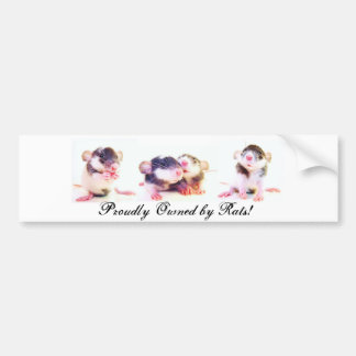 Prouwe eigenaar van Rats! Bumpersticker