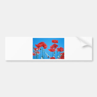 Provençaalse kinkhoen bumpersticker