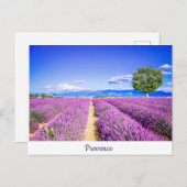 Provence Briefkaart (Voorkant / Achterkant)