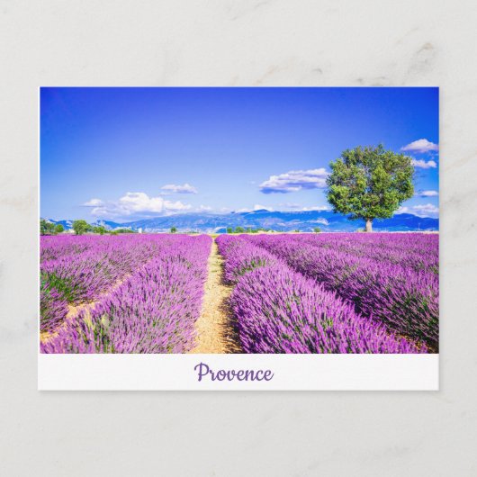 Provence Briefkaart (Voorkant)