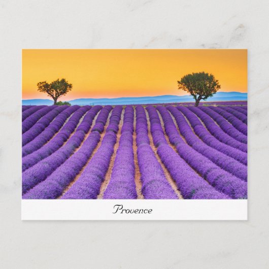 Provence Briefkaart (Voorkant)