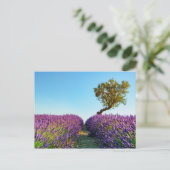 Provence Briefkaart (Staand voorkant)