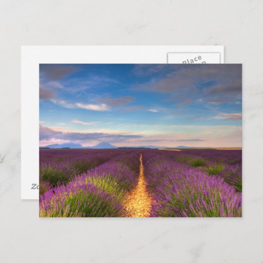 Provence - briefkaart Lavender-velden (Voorkant / Achterkant)