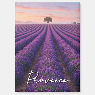 Provence Frankrijk Lavendelvelden Magneet