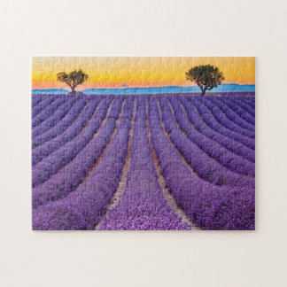 Provence, Frankrijk. Plateau of Valensole. Legpuzzel