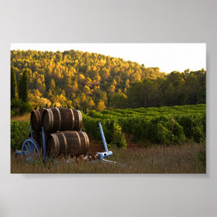 Provence, Frankrijk Poster