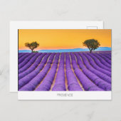Provence lavender briefkaart (Voorkant / Achterkant)