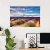 Provence - poster Lavender-velden (Thuiskantoor)