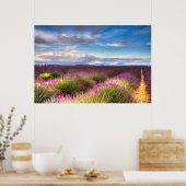 Provence - poster Lavender-velden (Keuken)