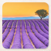 Provence Vierkante Kartonnen Onderzetter (Voorkant)